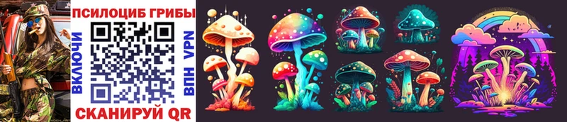 МЕГА маркетплейс Тейково Псилоцибиновые грибы Psilocybine cubensis